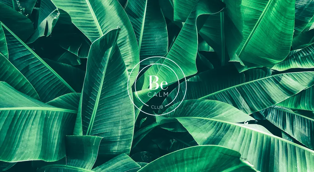 be calm club